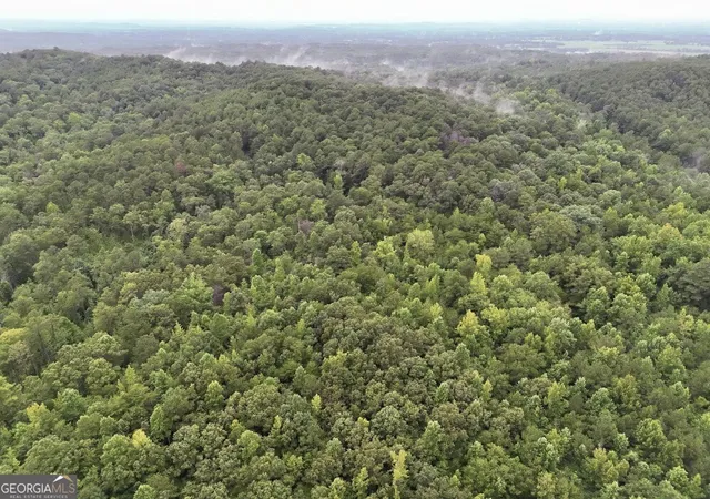1st image of 0 Hopefull Rd #LOT 2, Munford, AL 36268 | MLS# 10656342