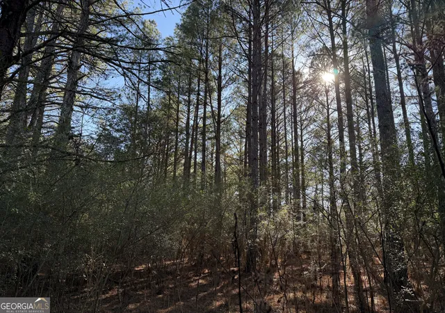 2nd image of 0000000 Liberty Church Rd, Ranger, GA 30734 | MLS# 10760420