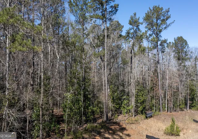 Homes for sale in Warm Springs, GA | 0 Roosevelt Hwy, Warm Springs, GA 31830 | MLS# 10763819