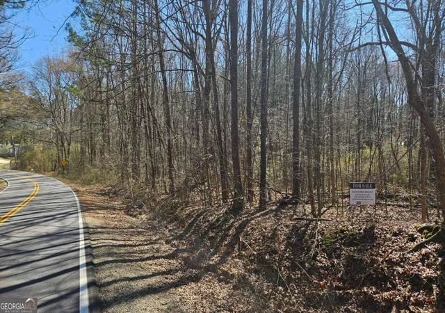 Photo 3 of Land for sale at 0 Cook Dr, Ellenwood, GA 30294 | MLS# 10686407 | Listing updated on 2026-02-20