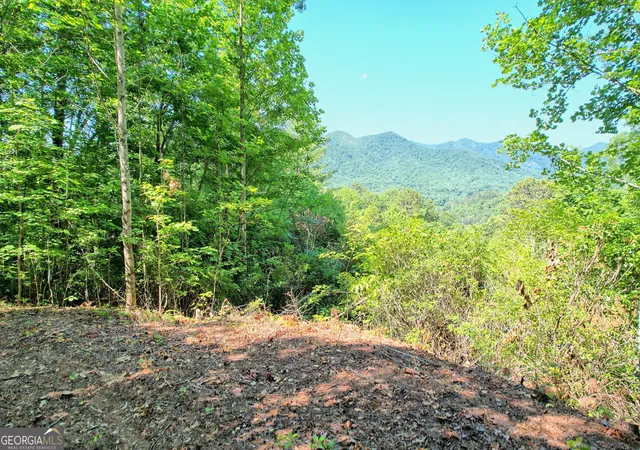 Photo 1 of Land for sale at 0 Raven Fork Trail, Dillard, GA 30537 | MLS# 10311099 | Listing updated on 2026-06-05