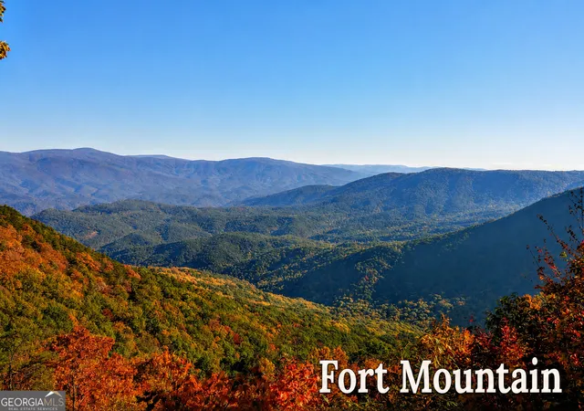78th image of 480 Pasha Dr, Ellijay, GA 30540 | MLS# 10784736