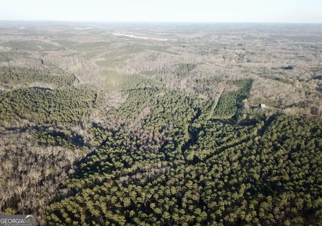 Photo 3 of Land for sale at 0   Tract 3 Mt Zion Church Rd, Whitesburg, GA 30185 | MLS# 10824070 | Listing updated on 2026-08-26