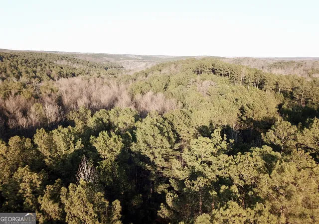 Photo 3 of Land for sale at 0 - Tract 3 Mt Zion Church Rd, Whitesburg, GA 30185 | MLS# 10824070 | Listing updated on 2026-08-26