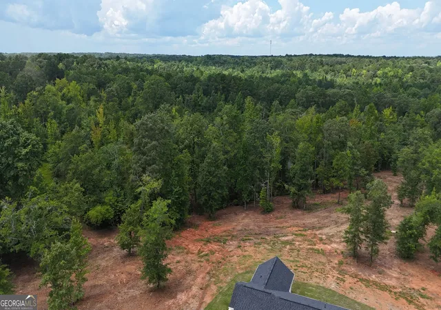 4th image of 331 Andrews Mill Rd, Greenville, GA 30222 | MLS# 10827207