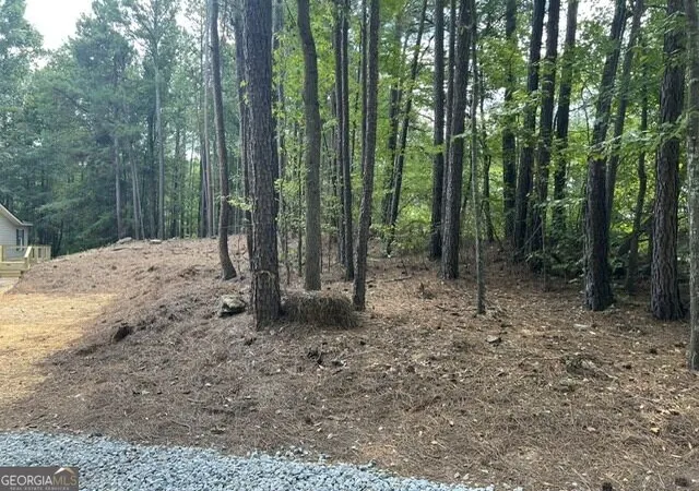 30th image of 196 Old Scout Rd, Jackson, GA 30233 | MLS# 10816305