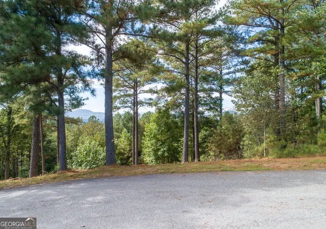 Photo 3 of Land for sale at Lot 14 Mile High Ln, Blairsville, GA 30512 | MLS# 10836373 | Listing updated on 2026-09-14