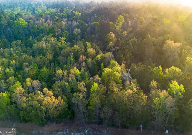 Photo 2 of Land for sale at 0 Little Mccall Rd, Rincon, GA 31326 | MLS# 10720942 | Listing updated on 2026-08-11