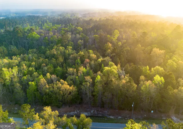 Photo 3 of Land for sale at 0 Little Mccall Rd, Rincon, GA 31326 | MLS# 10720942 | Listing updated on 2026-08-11