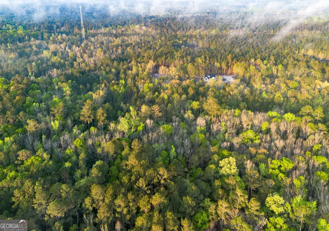 Photo 3 of Land for sale at 0 Little Mccall Rd, Rincon, GA 31326 | MLS# 10720942 | Listing updated on 2026-08-11