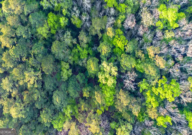 Photo 4 of Land for sale at 0 Little Mccall Rd, Rincon, GA 31326 | MLS# 10720942 | Listing updated on 2026-08-11