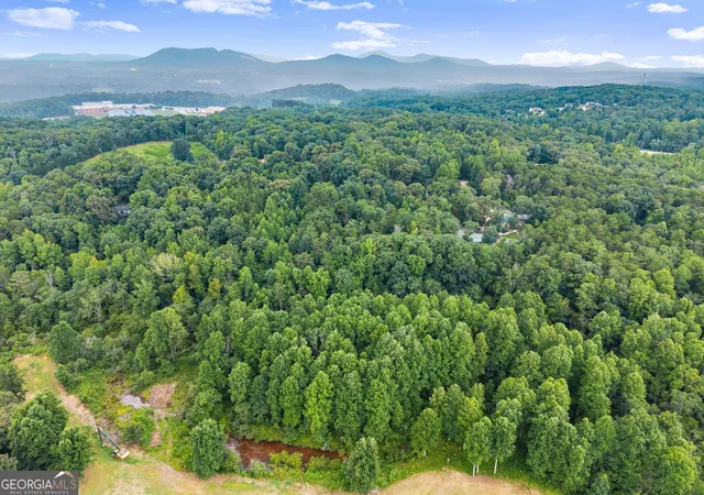 48th image of 481 Leona Ln, Cleveland, GA 30528 | MLS# 10821345