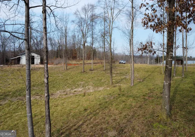 2nd image of 173 Acres Tr3 Garrison Rd, Cornelia, GA 30531 | MLS# 10819980