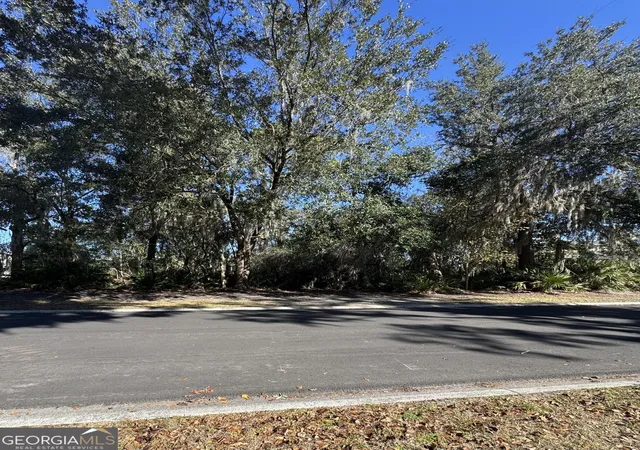 Photo 3 of Land for sale at 0 Carrington Ct, Kingsland, GA 31548 | MLS# 10677123 | Listing updated on 2026-02-05