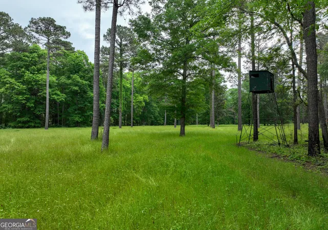 Homes for sale in Irwinton, GA | 6620 Jr Sims Rd, Irwinton, GA 31042 | MLS# 10525479