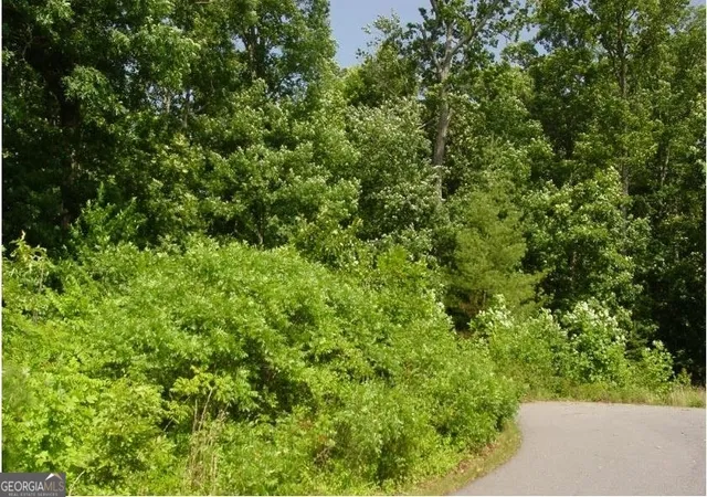 1st image of 1481 Phillips Cove Dr, Hiawassee, GA 30546 | MLS# 20180409