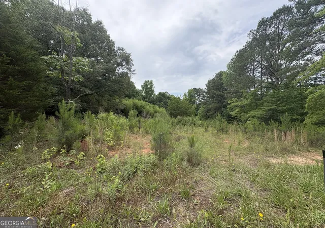 Homes for sale in Hogansville, GA | 355 N River Cir, Hogansville, GA 30230 | MLS# 10759631