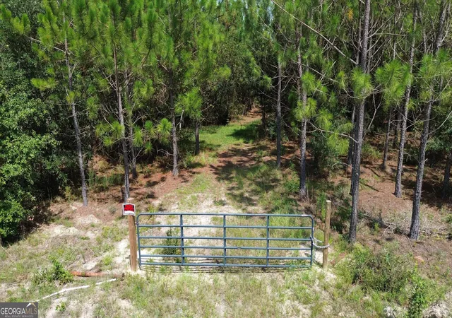 1st image of Tract 4 Penny Morris Rd, Baxley, GA 31513 | MLS# 10828486