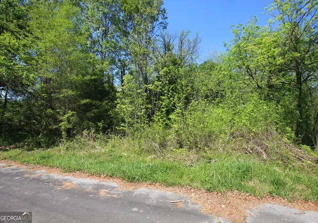 Photo 2 of Land for sale at 5 Line St Sw, Rome, GA 30161 | MLS# 10717606 | Listing updated on 2026-09-22