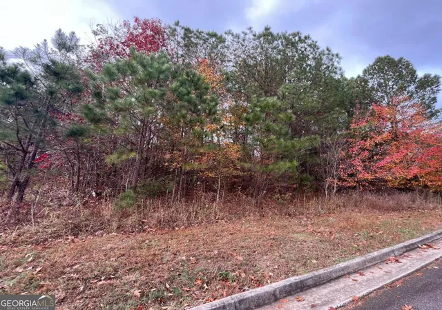 Photo 3 of Land for sale at 1075 Falkirk Ln, Stone Mountain, GA 30087 | MLS# 10652467 | Listing updated on 2025-12-17
