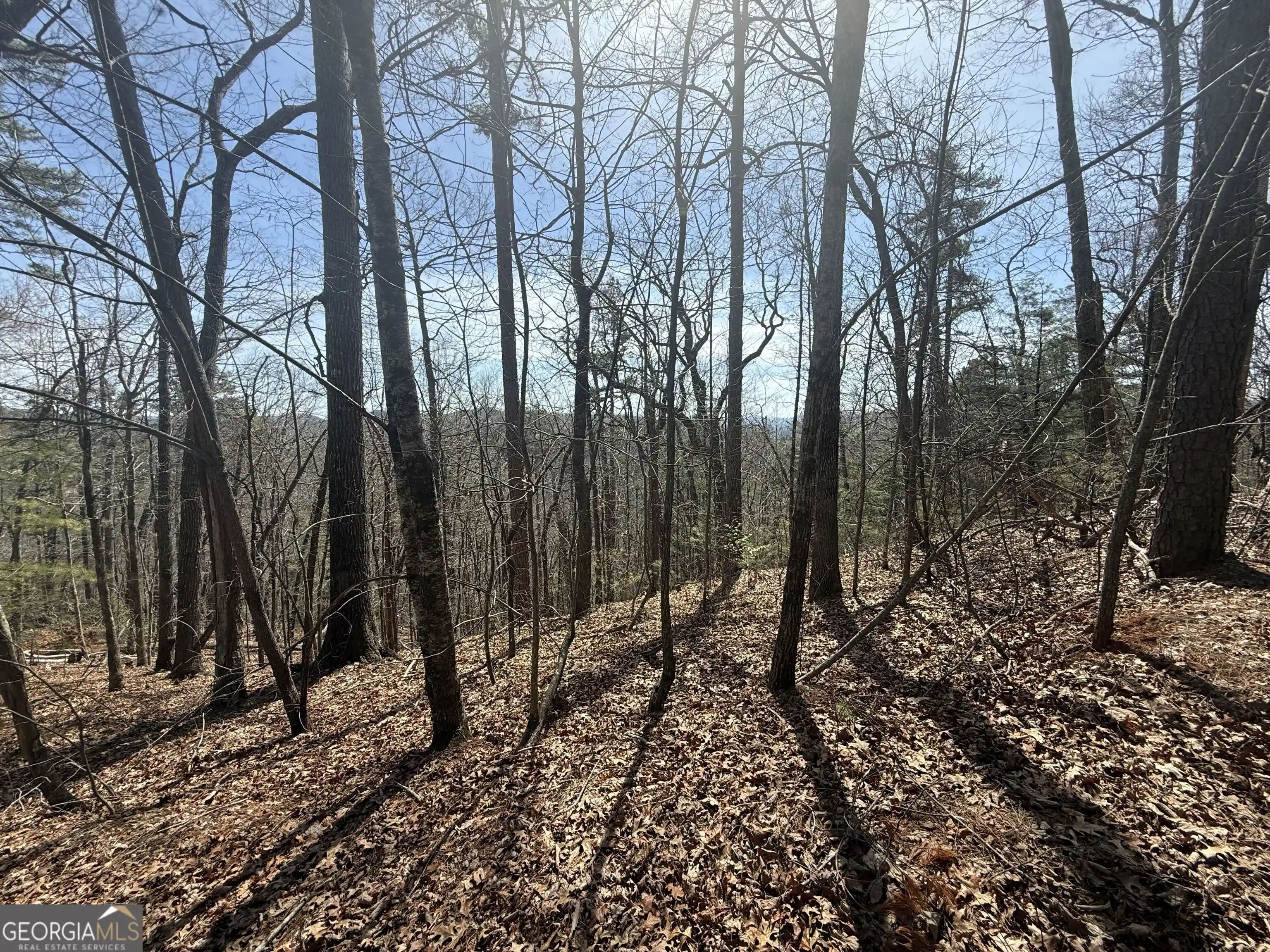 Land for sale at Tract 3a Big View Ln, Clayton, GA 30525 | MLS# 10878576