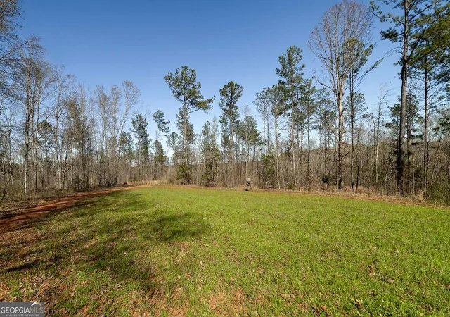 Homes for sale in Flovilla, GA | Lot 4 Mayfield Rd, Flovilla, GA 30216 | MLS# 10575834