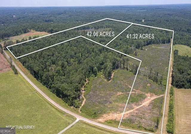 Homes for sale in Flovilla, GA | Lot 4 Mayfield Rd, Flovilla, GA 30216 | MLS# 10575834