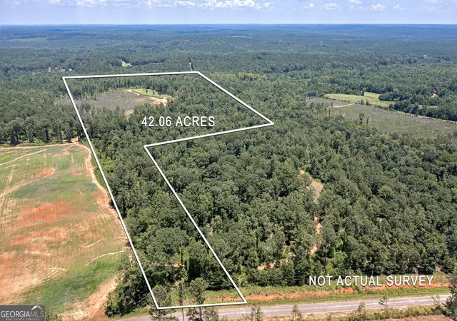 Homes for sale in Flovilla, GA | Lot 4 Mayfield Rd, Flovilla, GA 30216 | MLS# 10575834
