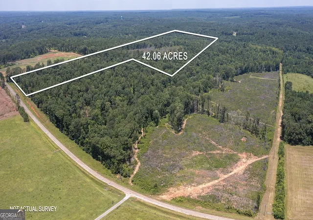 Homes for sale in Flovilla, GA | Lot 4 Mayfield Rd, Flovilla, GA 30216 | MLS# 10575834