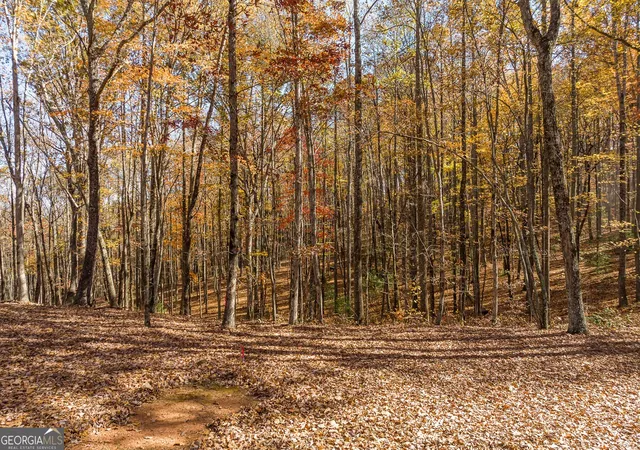 1st image of Lt 17r Tanager Trl, Ellijay, GA 30536 | MLS# 10621097