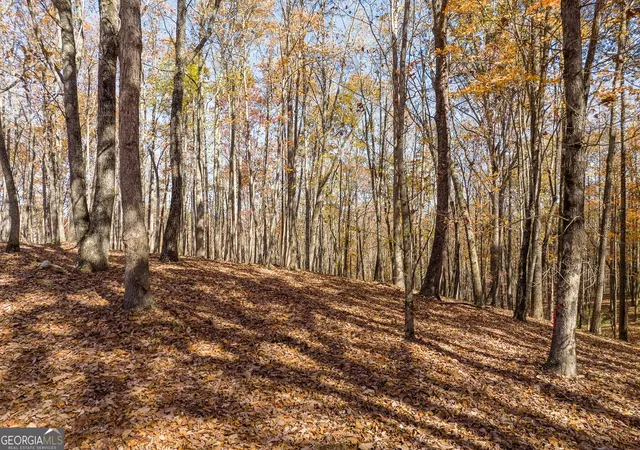 2nd image of Lt 17r Tanager Trl, Ellijay, GA 30536 | MLS# 10621097