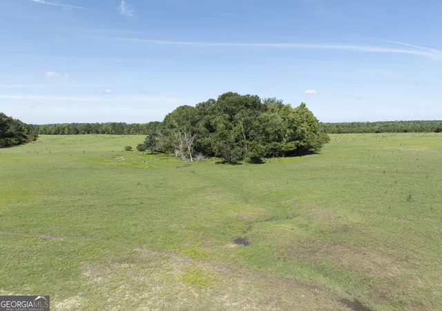 29th image of 0 Scotland Rd, Alamo, GA 30411 | MLS# 10781497