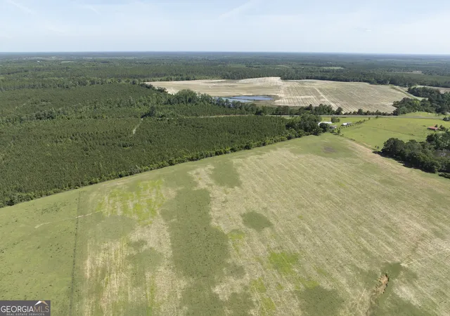 3rd image of 0 Scotland Rd, Alamo, GA 30411 | MLS# 10781497