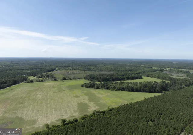 4th image of 0 Scotland Rd, Alamo, GA 30411 | MLS# 10781497