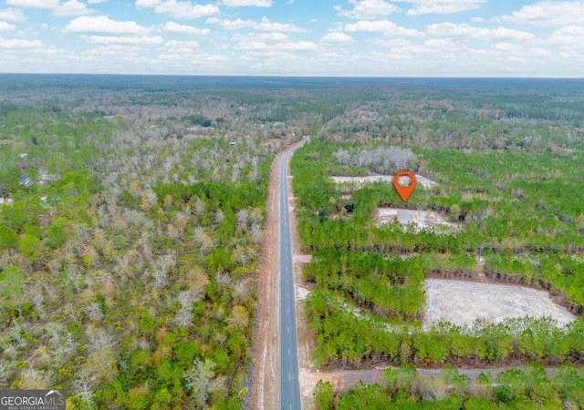 Homes for sale in Hortense, GA | 1000 Boots Harrison Rd, Hortense, GA 31543 | MLS# 10772154
