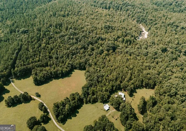 65th image of 3288 King Hall Mill Rd, Bowman, GA 30624 | MLS# 10828675