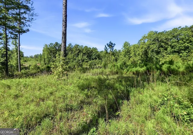 1st image of 710 Giles Rd, Forsyth, GA 31029 | MLS# 10824564