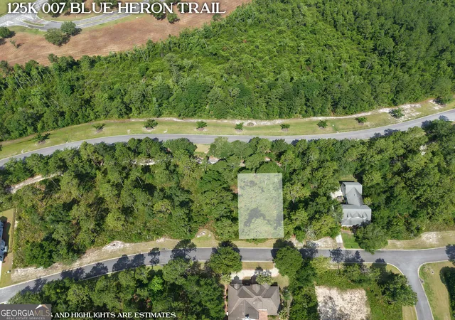 Homes for sale in Waverly, GA | Lot 7 Blue Heron Trl, Waverly, GA 31565 | MLS# 10787781