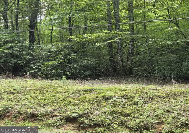 1st image of 00 Chopped Oak, Ellijay, GA 30540 | MLS# 10822660