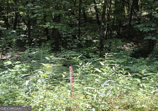3rd image of 00 Chopped Oak, Ellijay, GA 30540 | MLS# 10822660