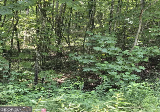 4th image of 00 Chopped Oak, Ellijay, GA 30540 | MLS# 10822660