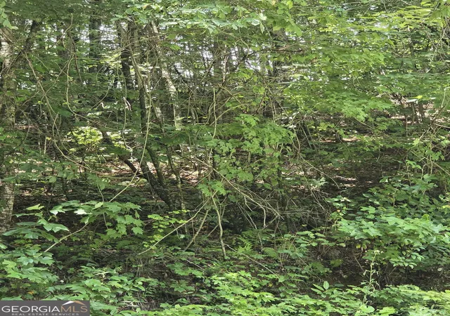 5th image of 00 Chopped Oak, Ellijay, GA 30540 | MLS# 10822660