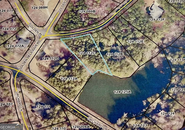 Homes for sale in Clarkesville, GA | 00 Golden Delicious Rd, Clarkesville, GA 30523 | MLS# 10788758