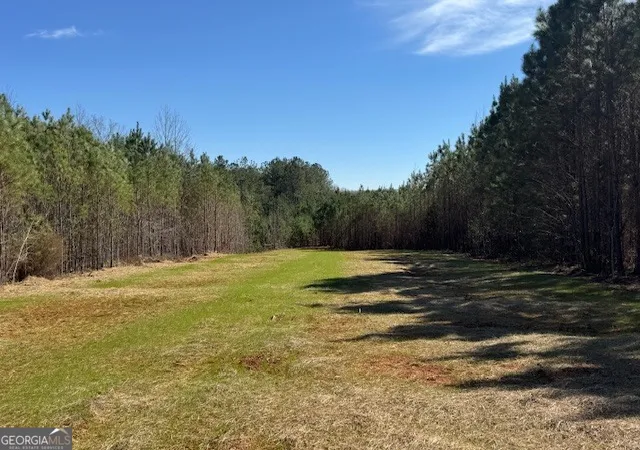 Photo 2 of Land for sale at 600 Yarbrough Rd, Franklin, GA 30217 | MLS# 10721589 | Listing updated on 2026-04-14