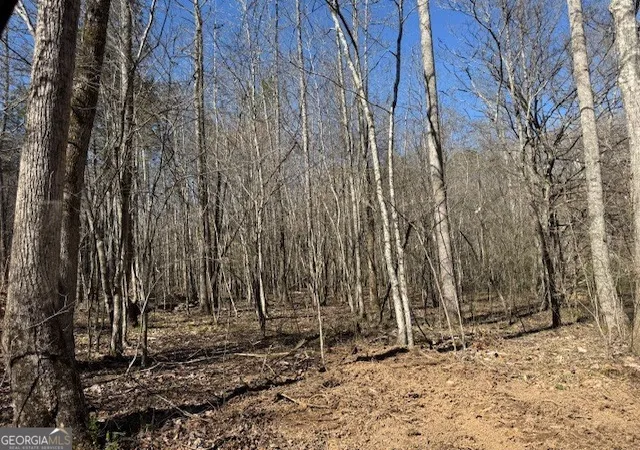 Photo 3 of House for sale at 600 Yarbrough Rd, Franklin, GA 30217 | MLS# 10721589 | Listing updated on 2026-04-14