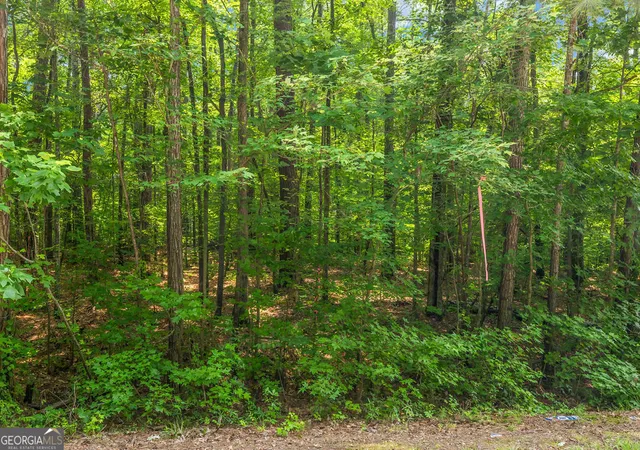Photo 4 of Land for sale at 0 Coastline Rd, Fayetteville, GA 30214 | MLS# 10811847 | Listing updated on 2026-08-23