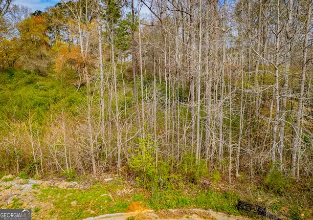 Photo 25 of Land for sale at 138 Deer Xing, Temple, GA 30179 | MLS# 10715300 | Listing updated on 2026-05-20