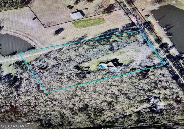 Homes for sale in Sylvania, GA | 241 Waters Station Rd, Sylvania, GA 30467 | MLS# 10713396