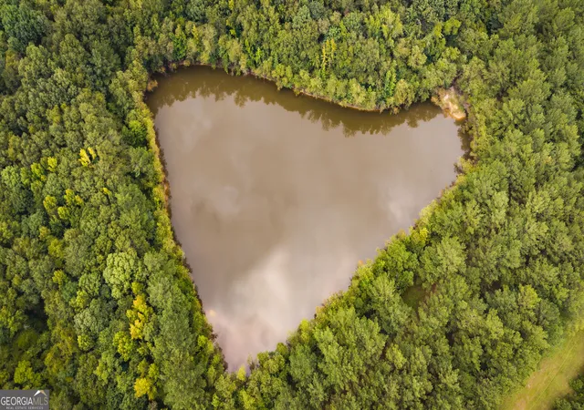 Photo 2 of Land for sale at 0 Chatham St Rd, Montezuma, GA 31063 | MLS# 10827946 | Listing updated on 2026-09-01