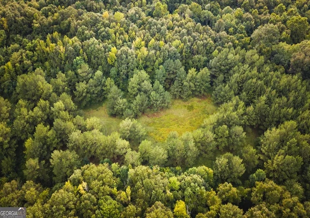 Photo 3 of Land for sale at 0 Chatham St Rd, Montezuma, GA 31063 | MLS# 10827946 | Listing updated on 2026-09-01